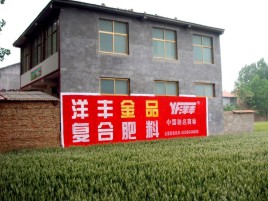 淮安如何让墙体广告展现最大化效果
